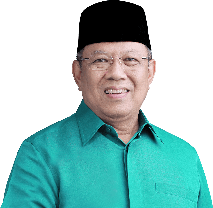 Walikota Tangerang Selatan, Benyamin Davnie