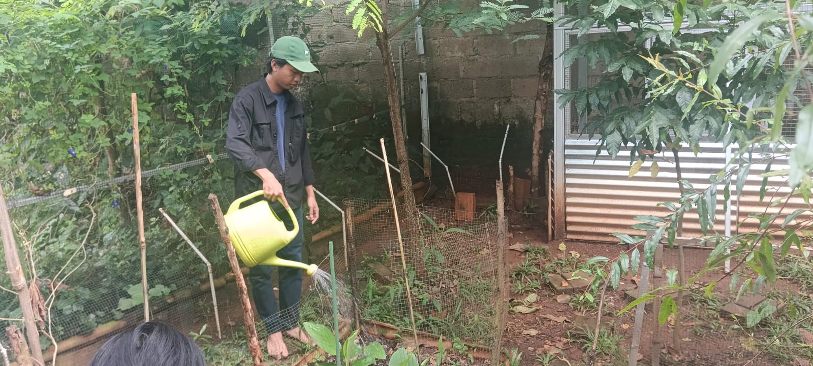 Damaz menyiram bedeng kebun herbal