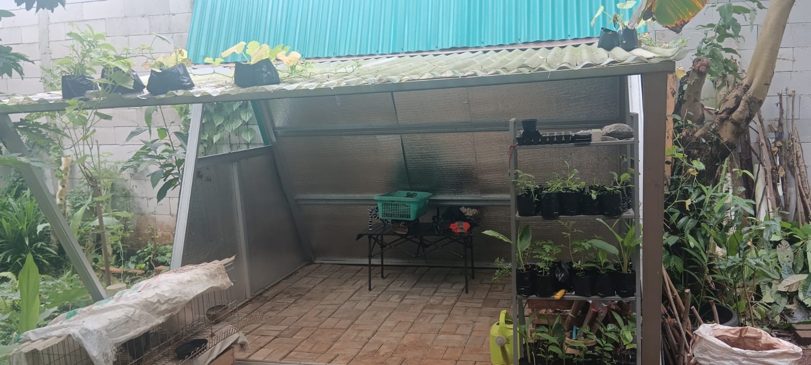 Rak bibit dan shelter semai di kebun House of Herbs