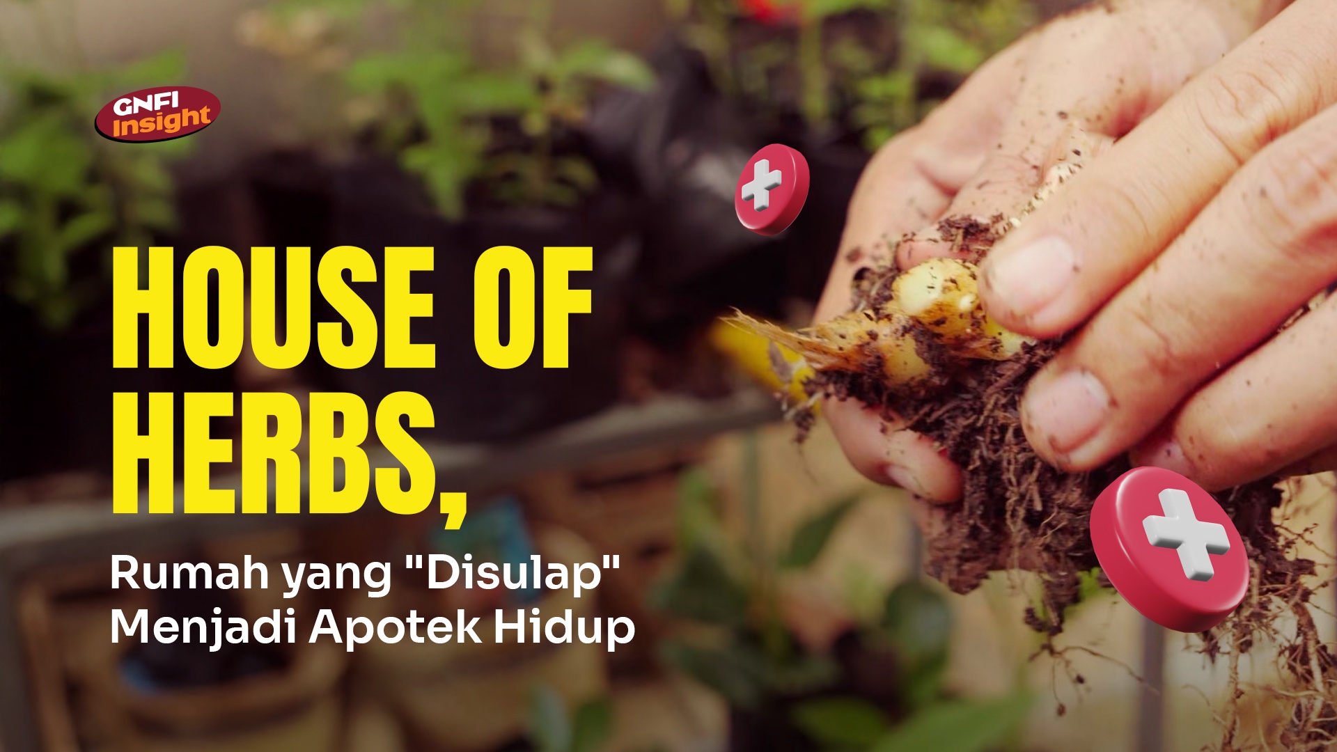 House of Herbs, Rumah yang Disulap Menjadi Apotek Hidup