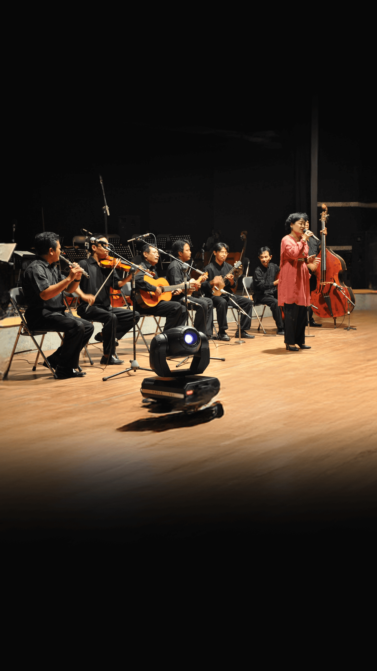 Orchestra Performance