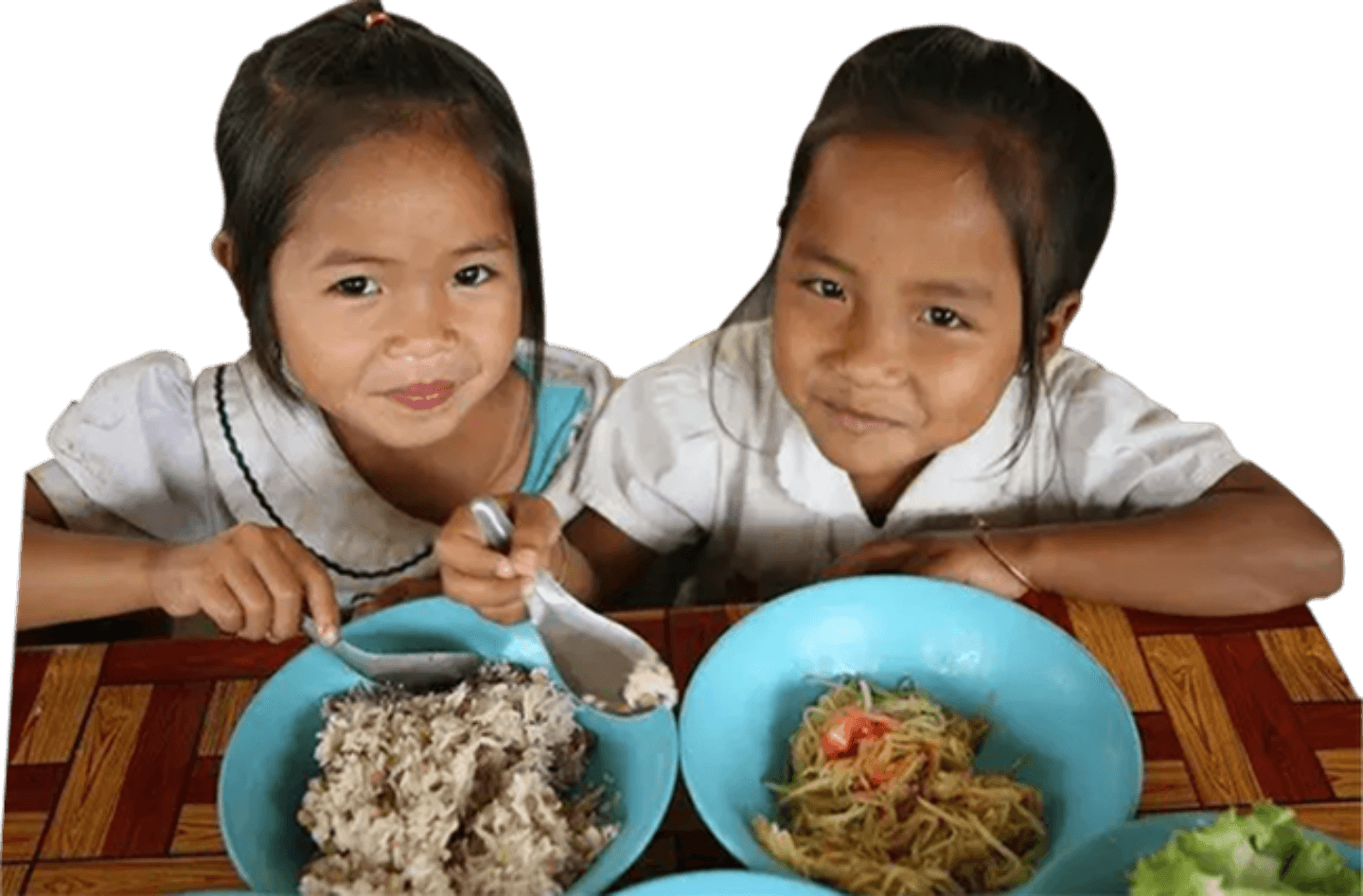 Anak Makan