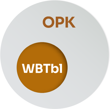OPK WBTbI Diagram