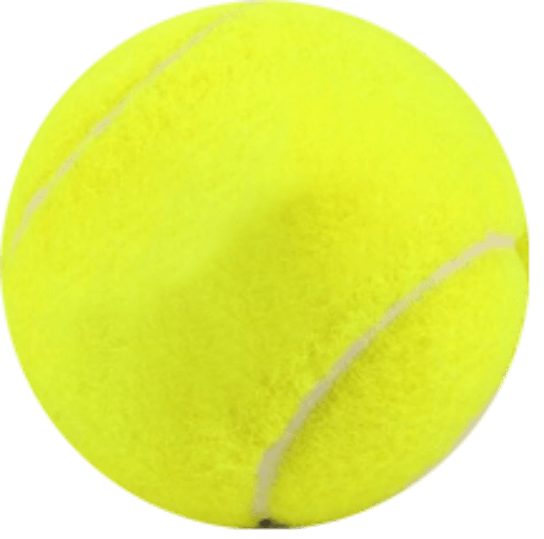 Bola