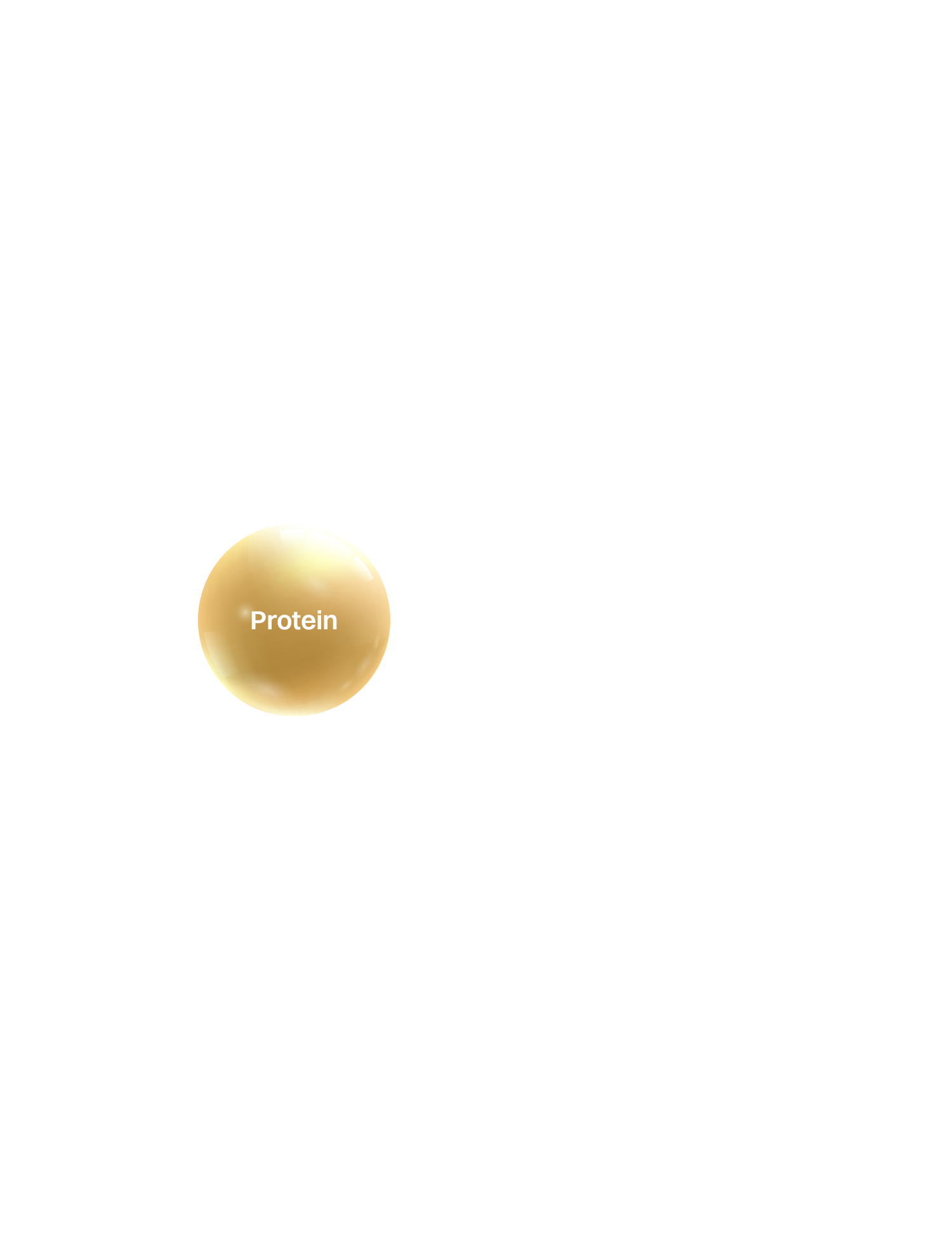 Milk Comp 10