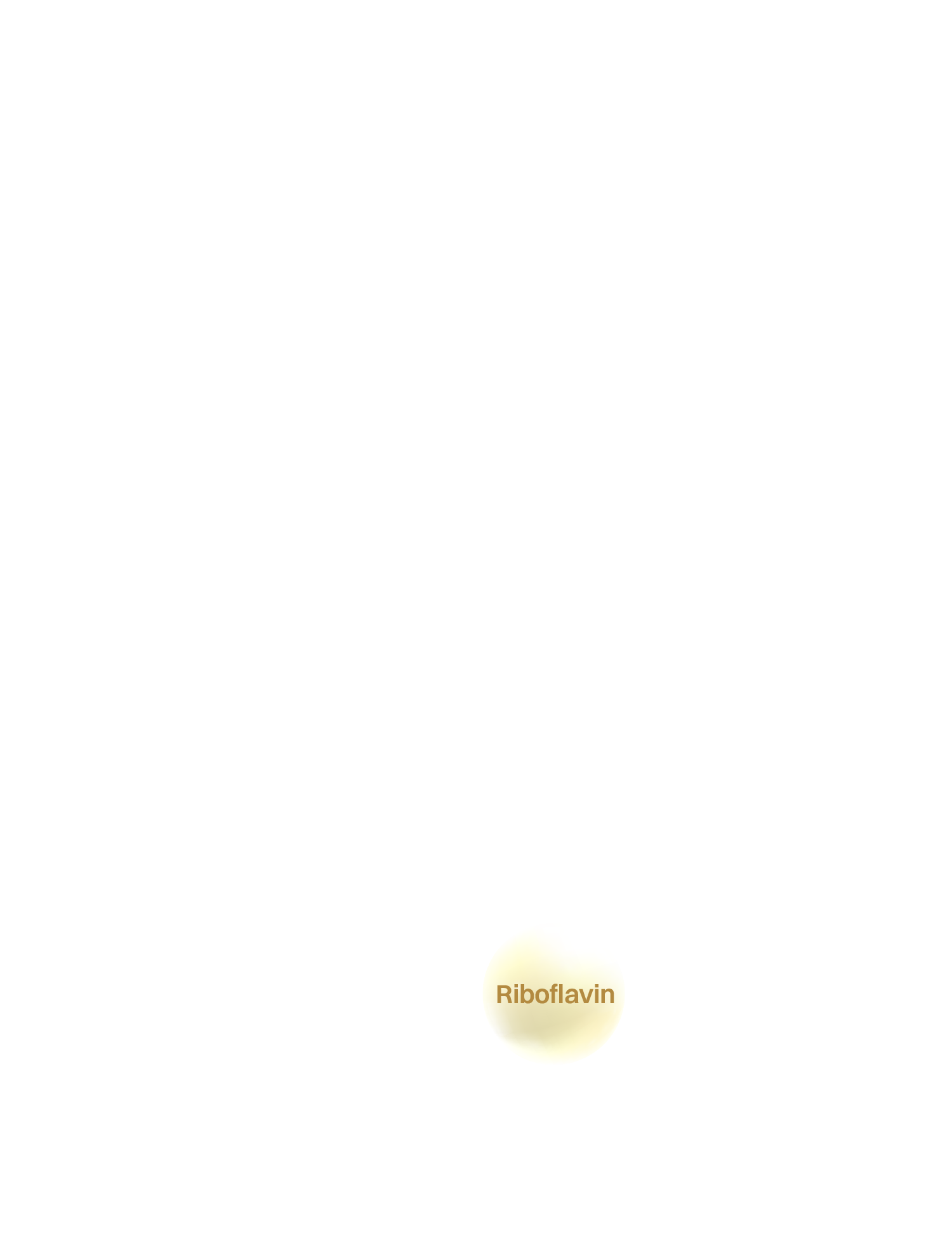 Milk Comp 19