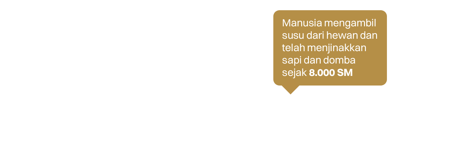 Who memperkirakan