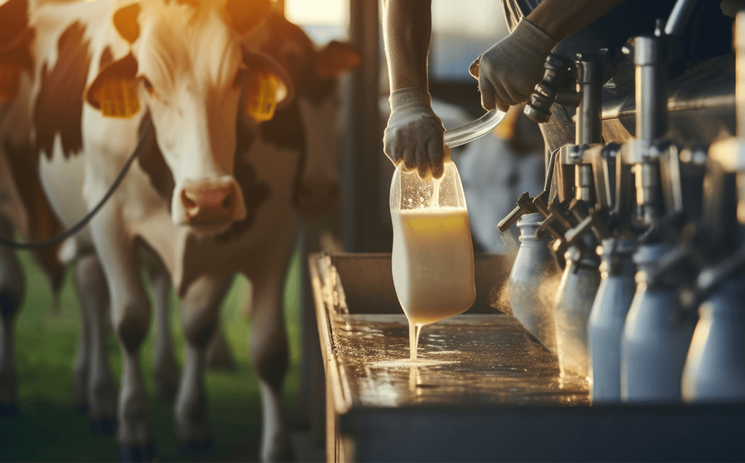 Background Cows