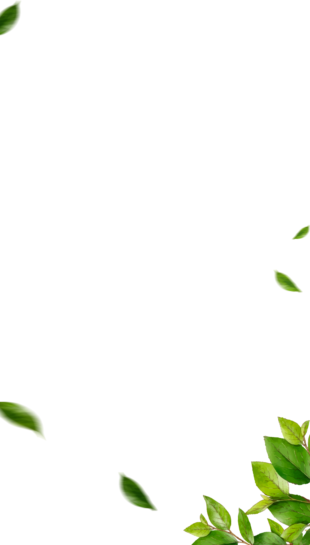 Leaves