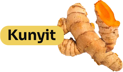 Kunyit